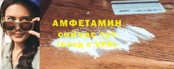 индика Белая Холуница