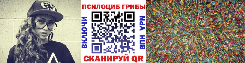 Псилоцибиновые грибы MAGIC MUSHROOMS  цена   Бородино 
